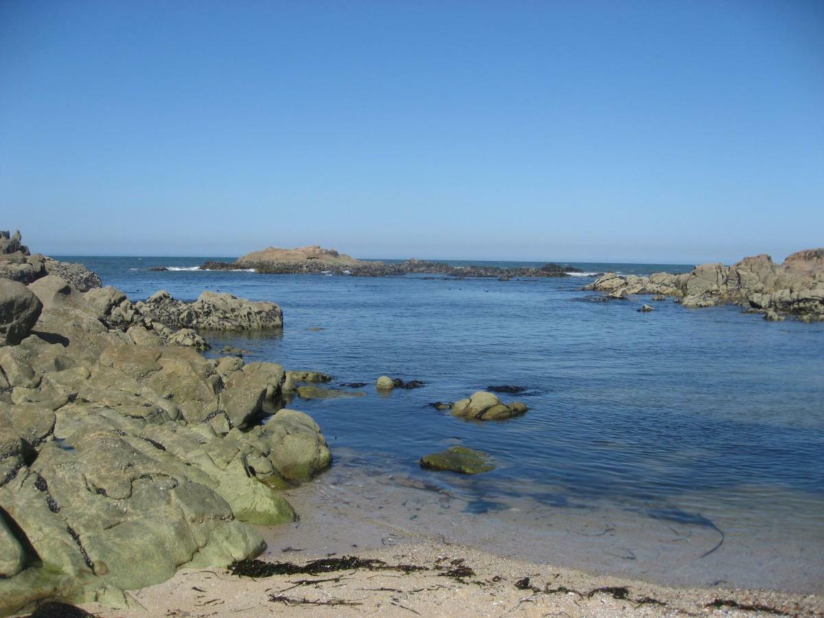 Matosinho'S Palace Matosinhos  Dış mekan fotoğraf